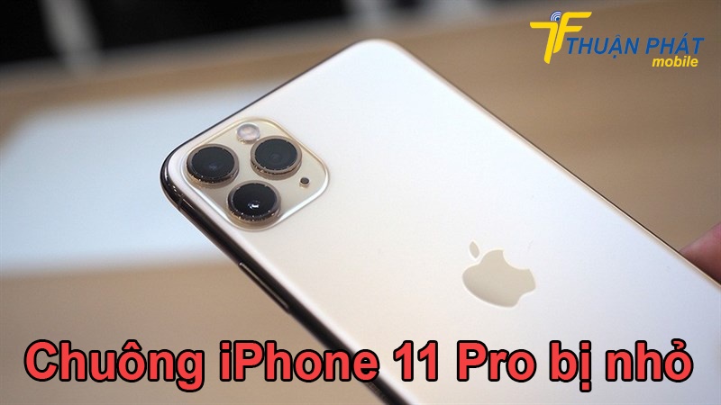 Chuông iPhone 11 Pro bị nhỏ