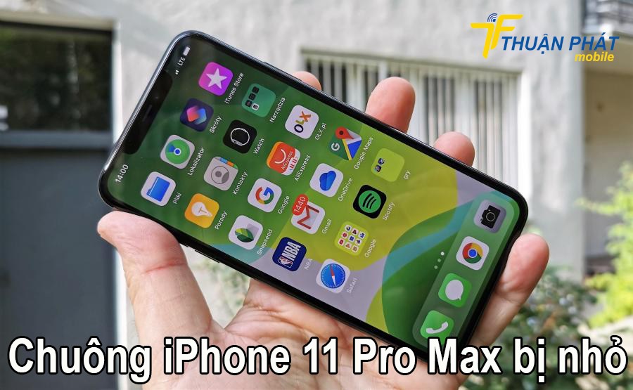 Chuông iPhone 11 Pro Max bị nhỏ