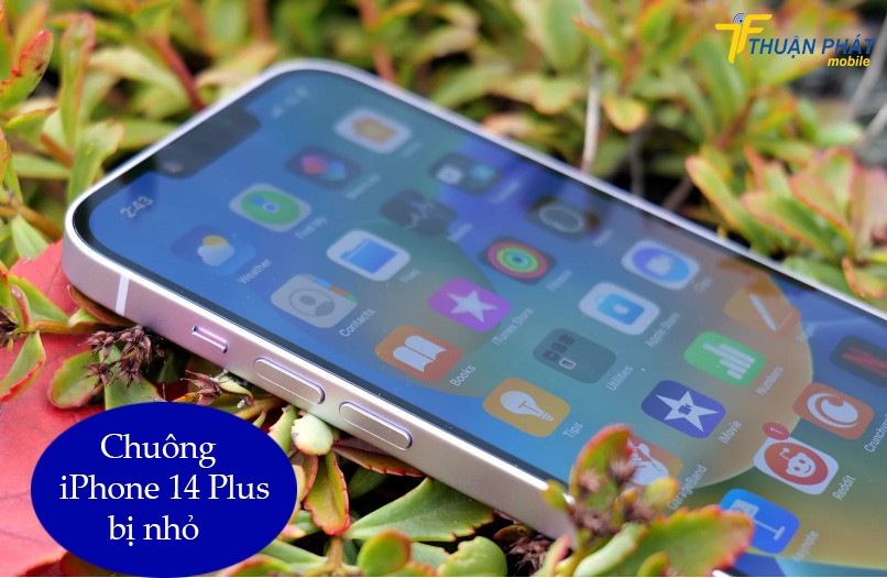 Chuông iPhone 14 Plus bị nhỏ