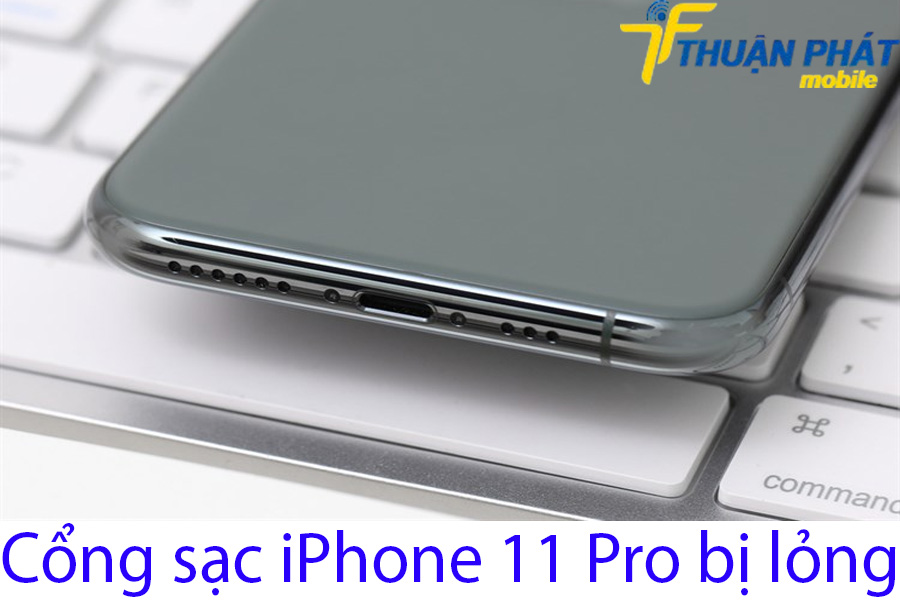 Cổng sạc iPhone 11 Pro bị lỏng Cổng sạc iPhone 11 Pro bị lỏng