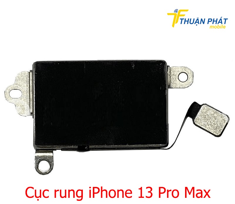 Cục rung iPhone 13 Pro Max