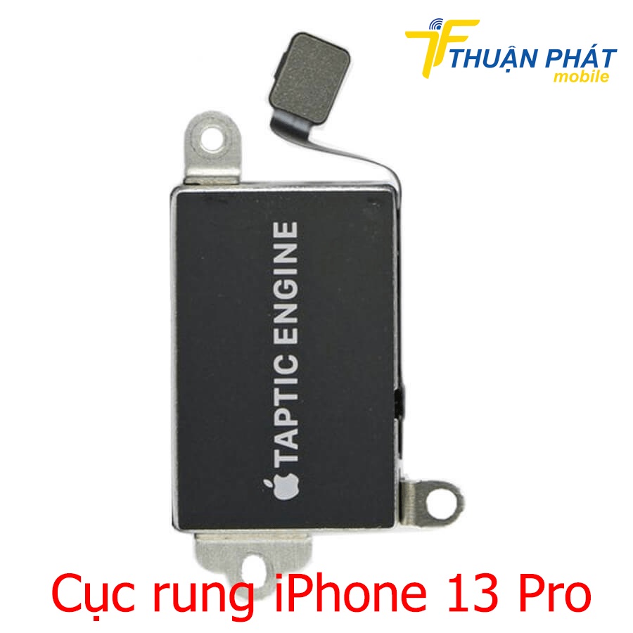 Cục rung iPhone 13 Pro