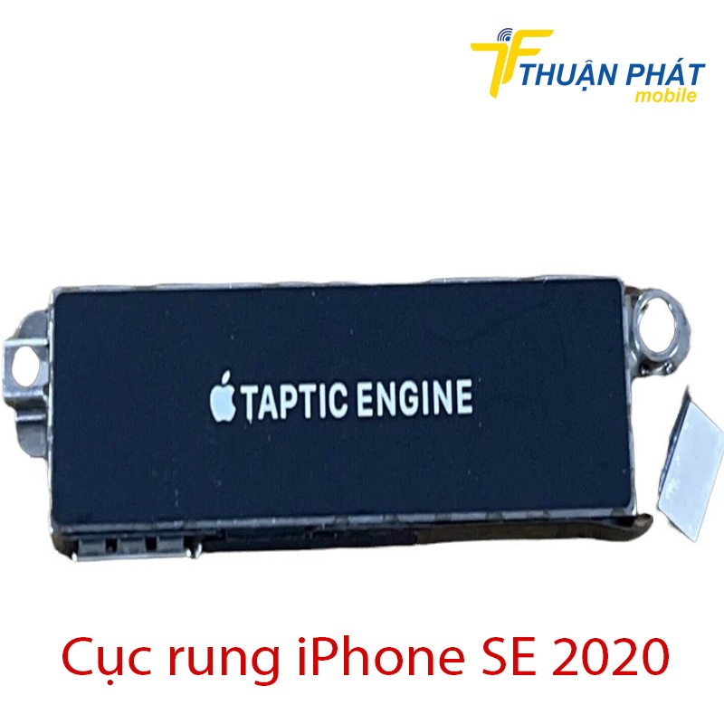 Cục rung iPhone SE 2020