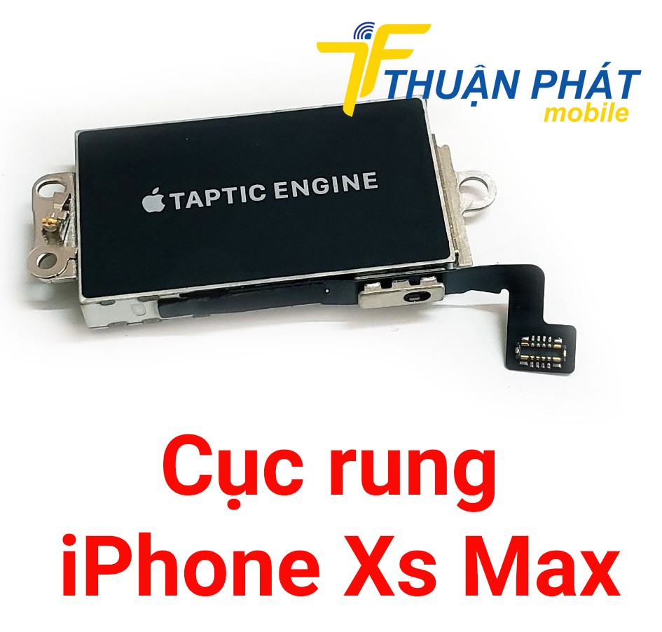 Cục rung iPhone Xs Max