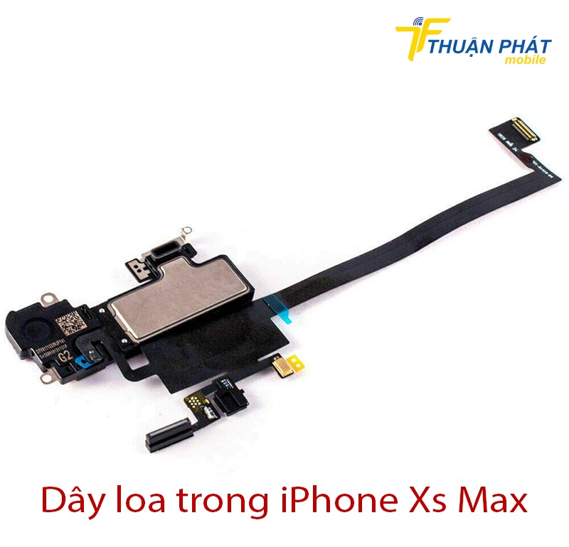 Dây loa trong iPhone Xs Max