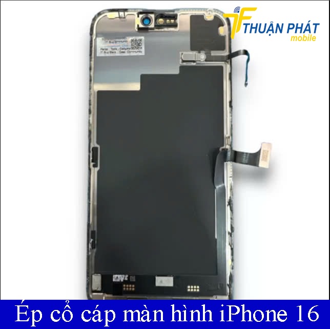 Ép cổ cáp màn hình iPhone 16