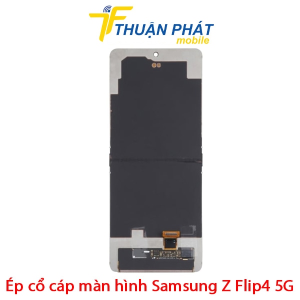 Thay cáp màn hình Samsung Z Flip4 5G