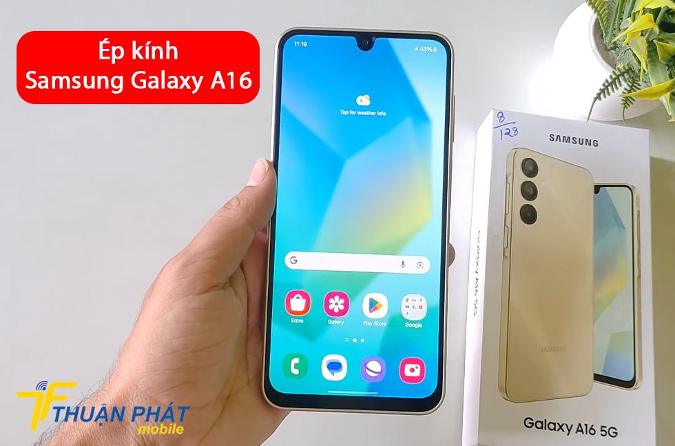 Ép kính Samsung Galaxy A16