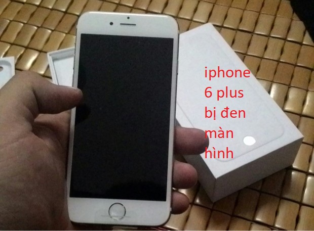 iphone 6 plus bị đen màn hình