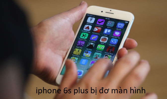 iphone 6s plus bị đơ màn hình