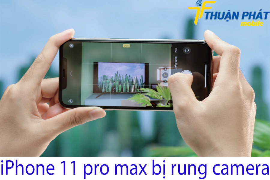 iPhone 11 pro max bị rung camera