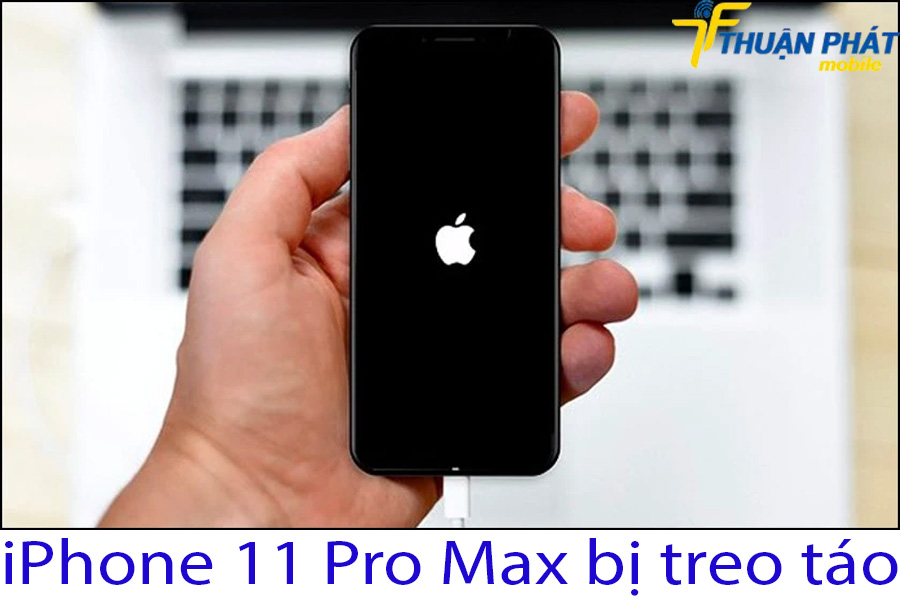 iPhone 11 pro max bị treo táo iPhone 11 pro max bị treo táo