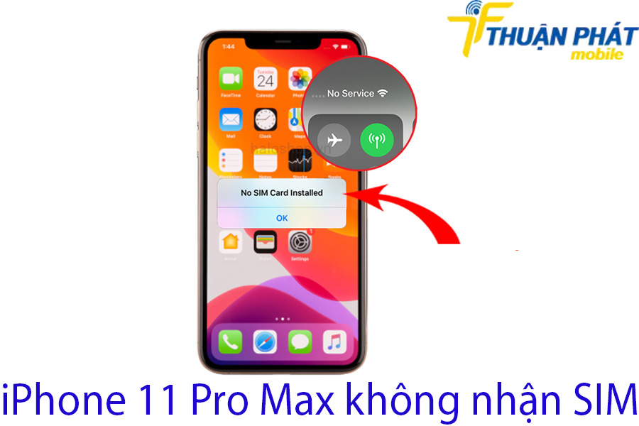 iPhone 11 pro max không nhận SIM