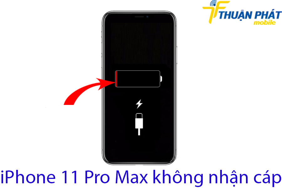 iPhone 11 Pro Max không nhận cáp iPhone 11 Pro Max không nhận cáp