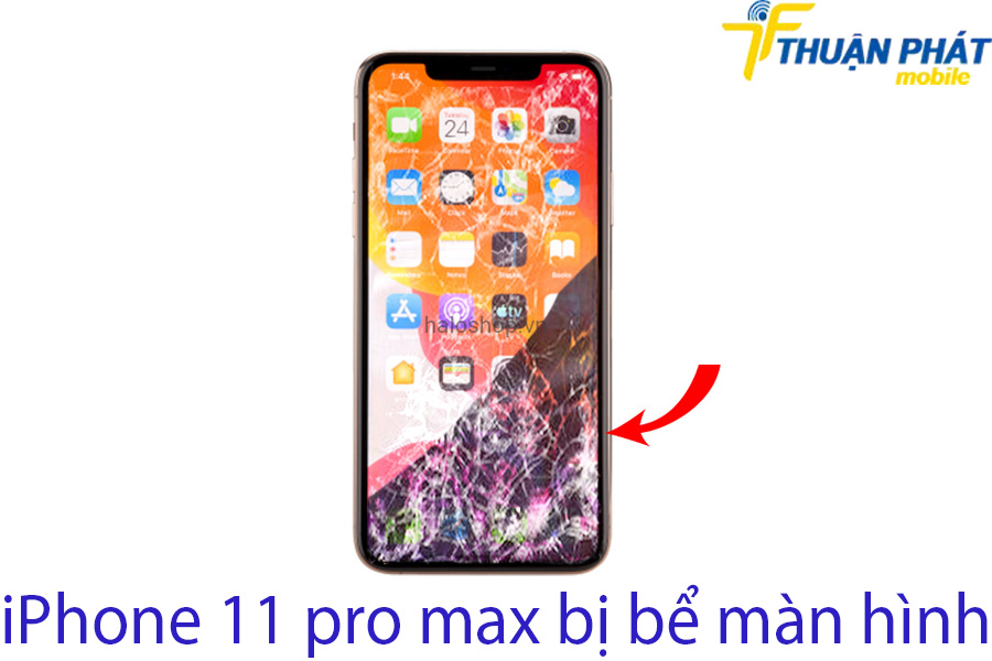 iPhone 11 pro max bị bể màn hình iPhone 11 pro max bị bể màn hình