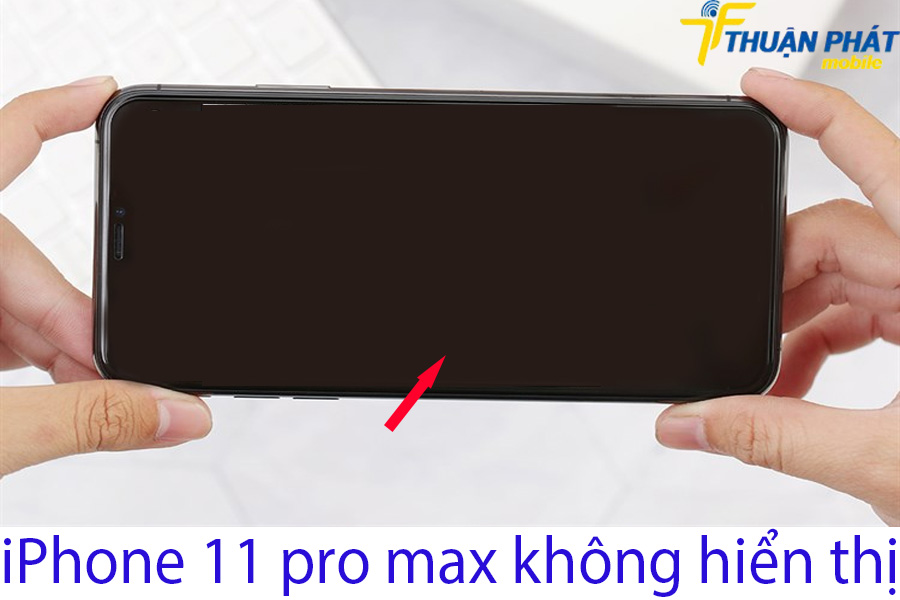 iPhone 11 pro max không hiển thị