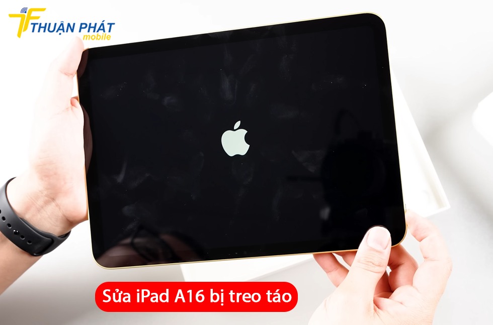 iPad A16 bị treo táo