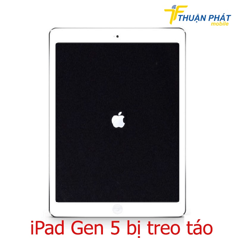 iPad Gen 5 bị treo táo