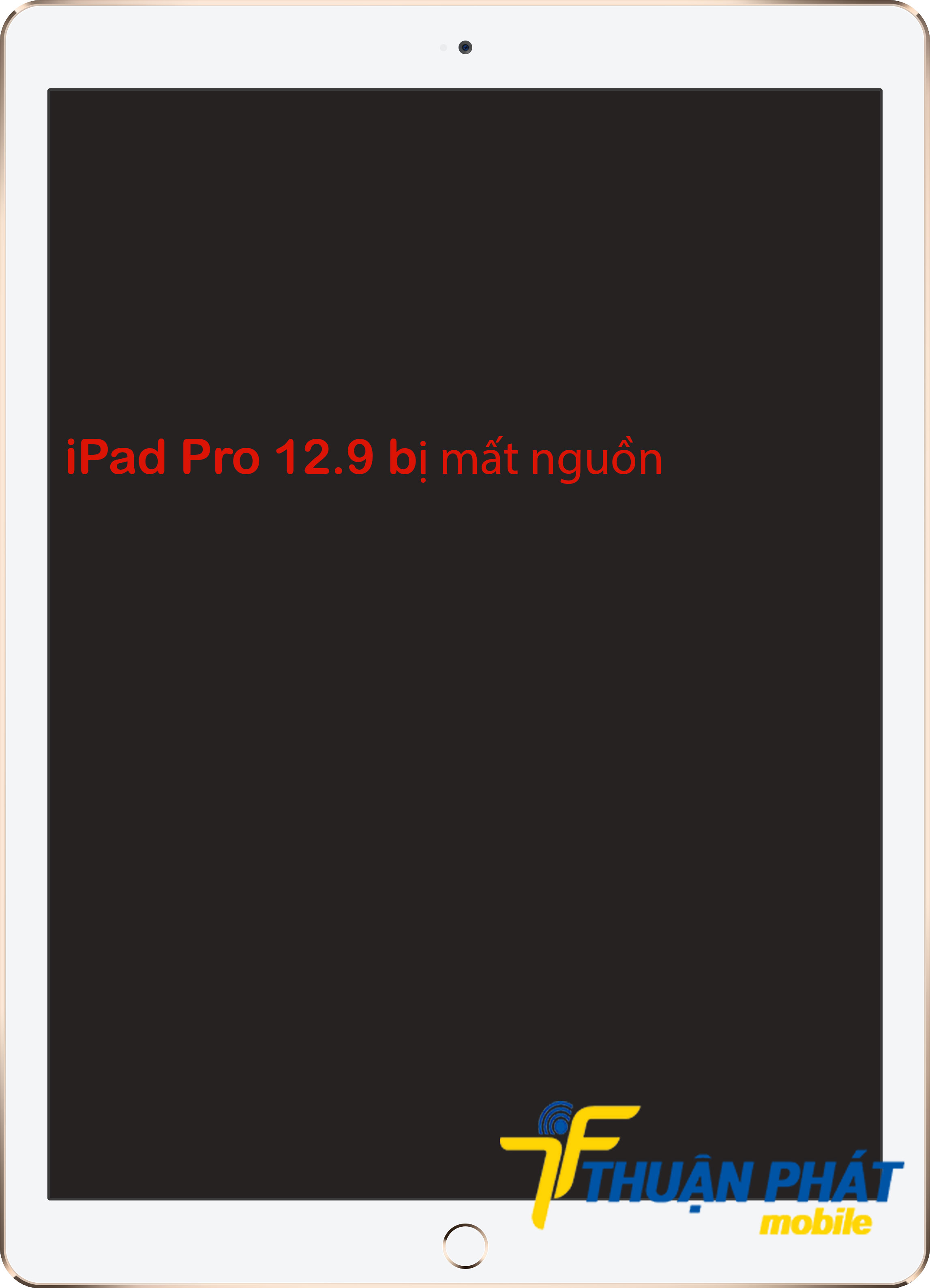 iPad Pro 12.9 bị lỗi mất nguồn
