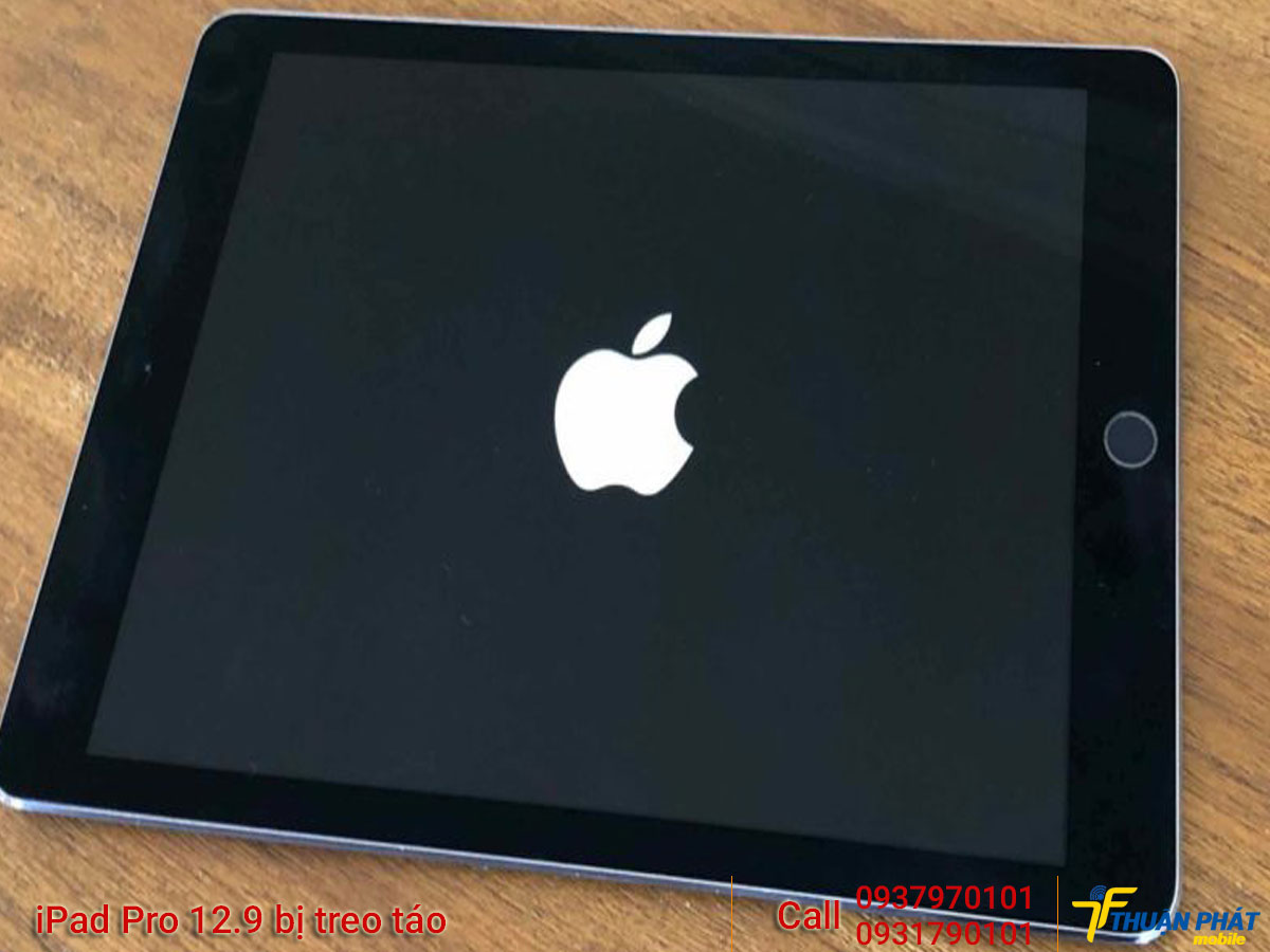 iPad Pro 12.9 bị treo táo