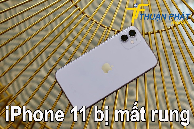 iPhone 11 bị mất rung
