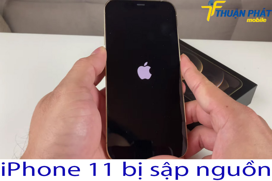 iPhone 11 bị sập nguồn