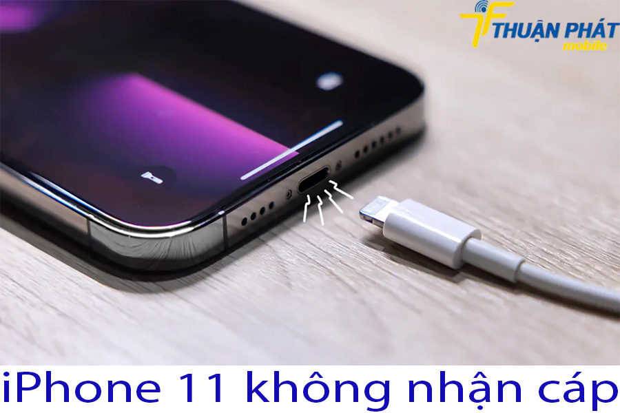iPhone 11 không nhận cáp