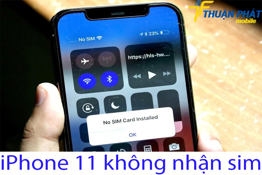 iPhone 11 không nhận sim