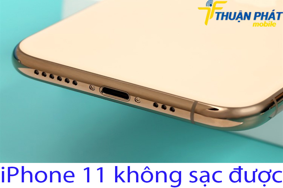 iPhone 11 không sạc được iPhone 11 không sạc được