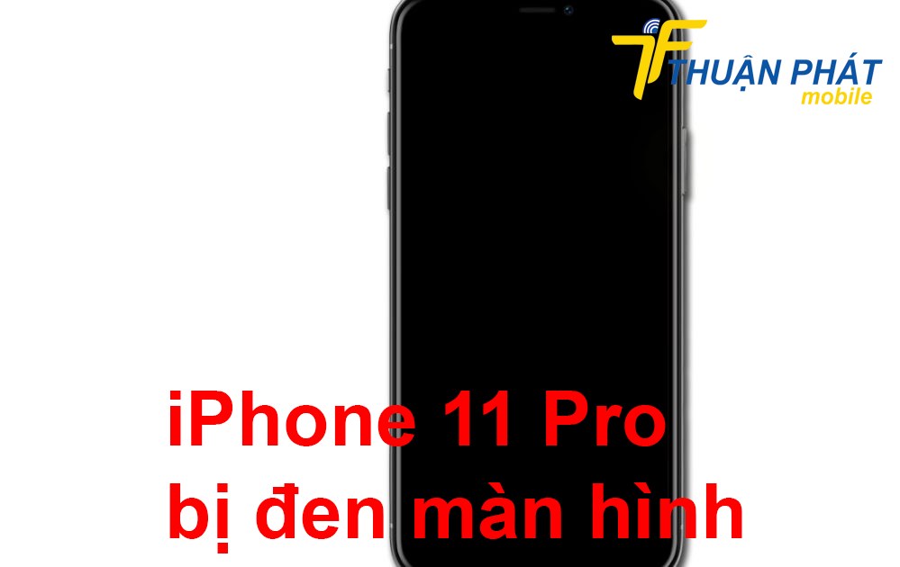 iPhone 11 Pro bị đen màn hình