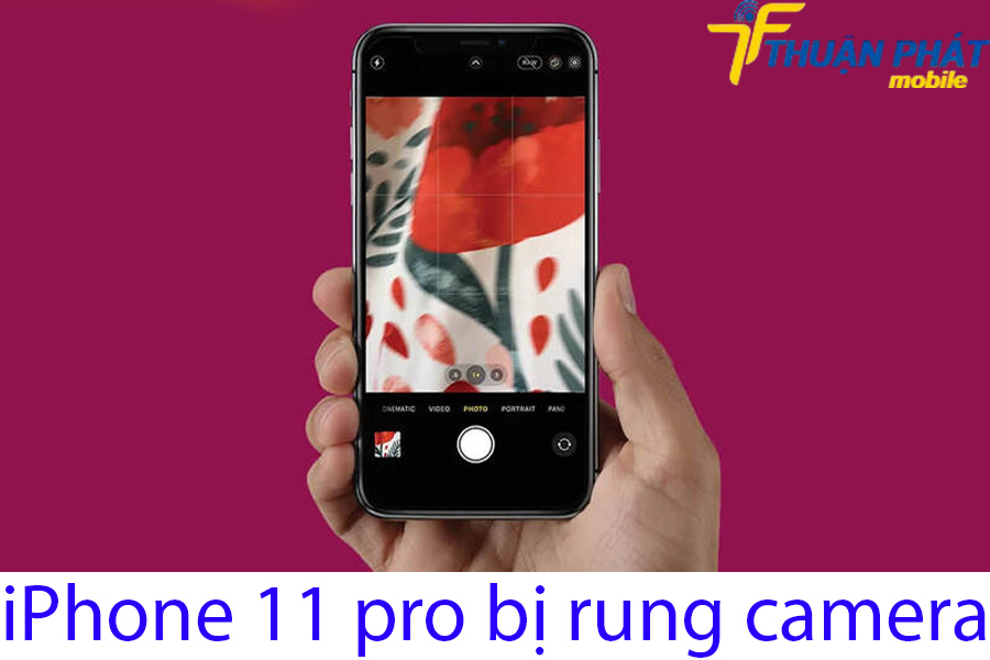 iPhone 11 pro bị rung camera iPhone 11 pro bị rung camera