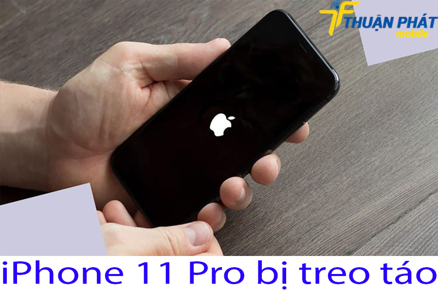 iPhone 11 Pro bị treo táo