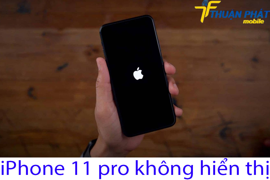 iPhone 11 pro không hiển thị iPhone 11 pro không hiển thị