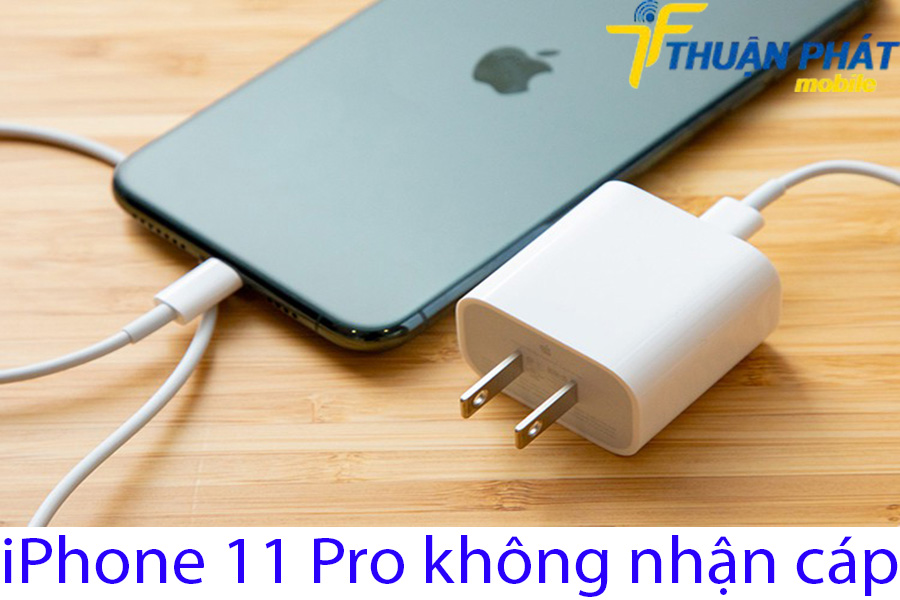 iPhone 11 Pro không nhận cáp
