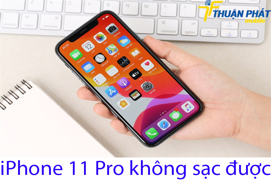 iPhone 11 Pro không sạc được iPhone 11 Pro không sạc được