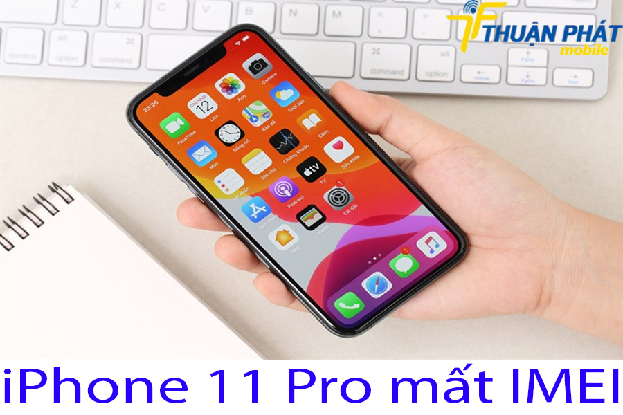 iPhone 11 Pro mất IMEI iPhone 11 Pro mất IMEI