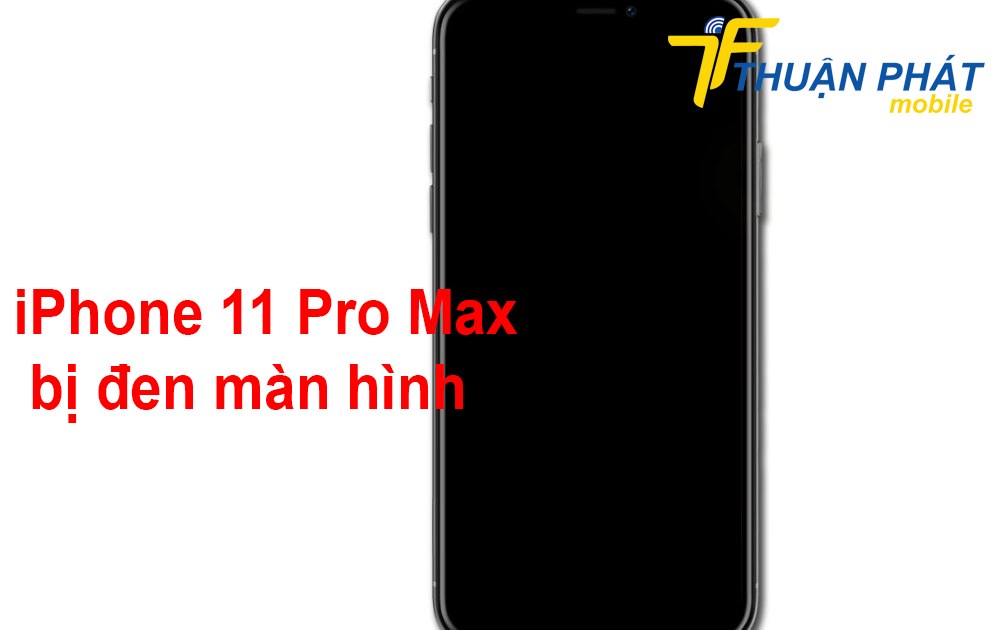 iPhone 11 Pro Max bị đen màn hình