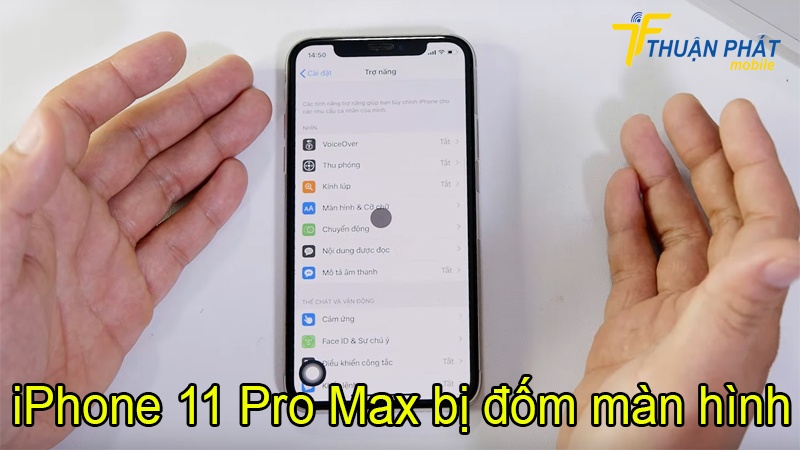 iPhone 11 Pro Max bị đốm màn hình