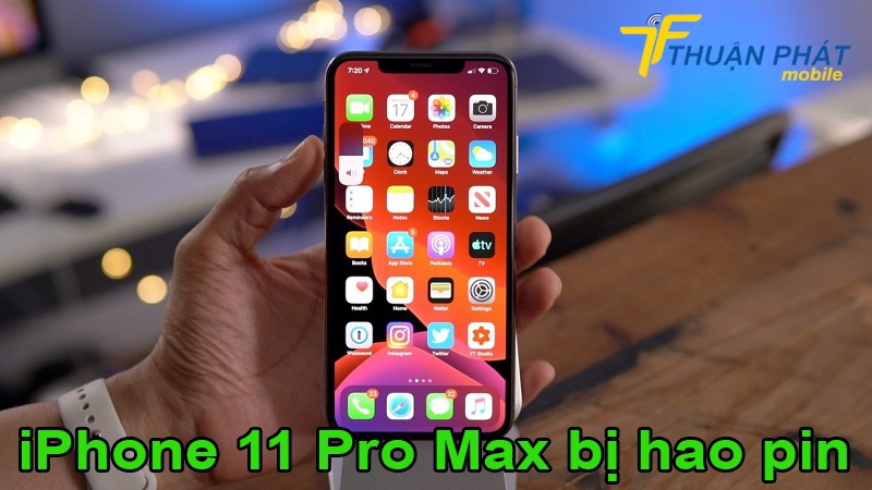 iPhone 11 Pro Max bị hao pin
