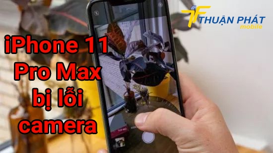 iPhone 11 Pro Max bị lỗi camera