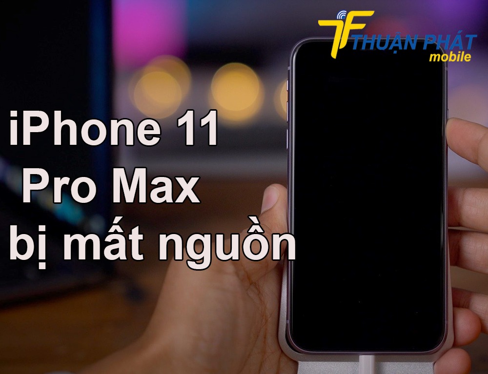 iPhone 11 Pro Max bị mất nguồn 
