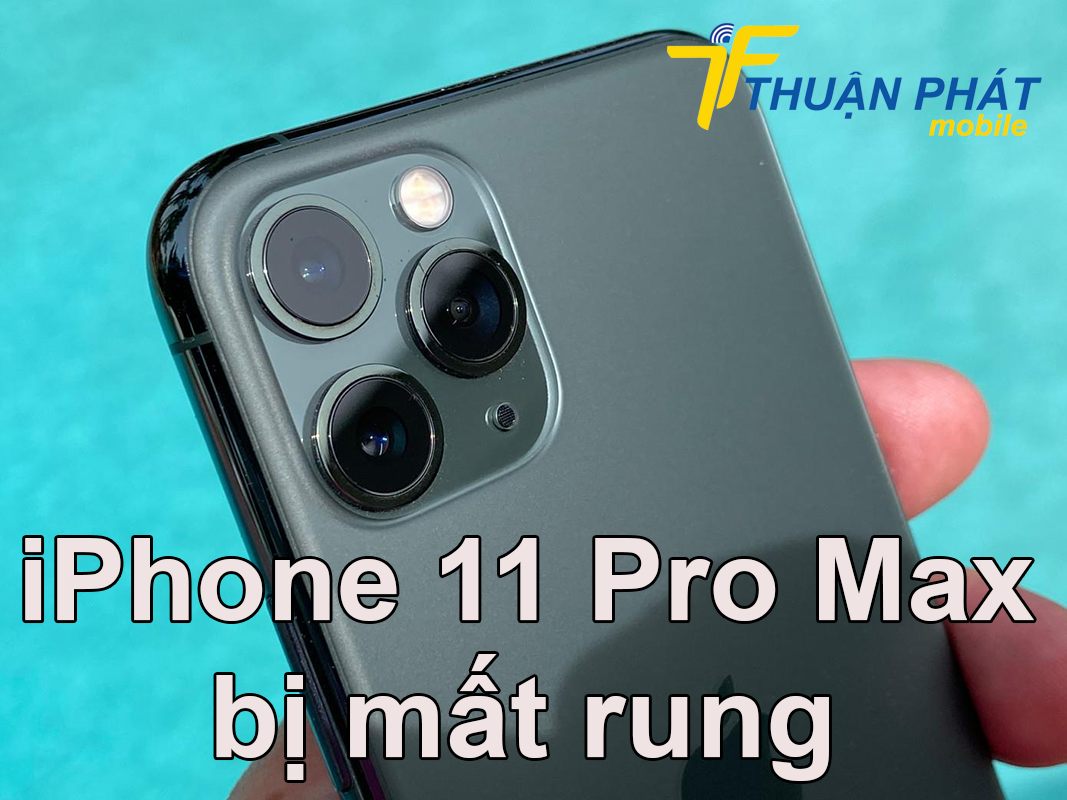 iPhone 11 Pro Max bị mất rung