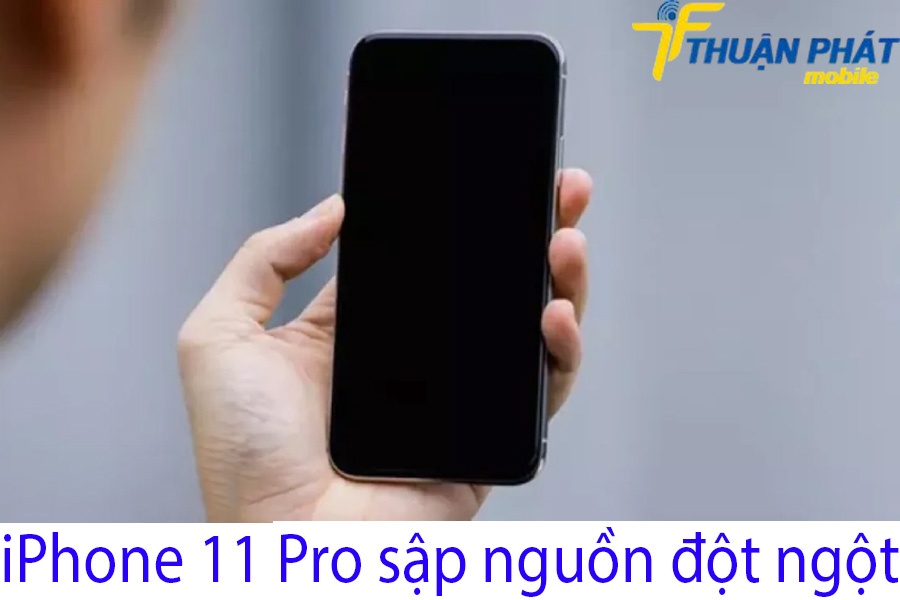 iPhone 11 Pro sập nguồn đột ngột