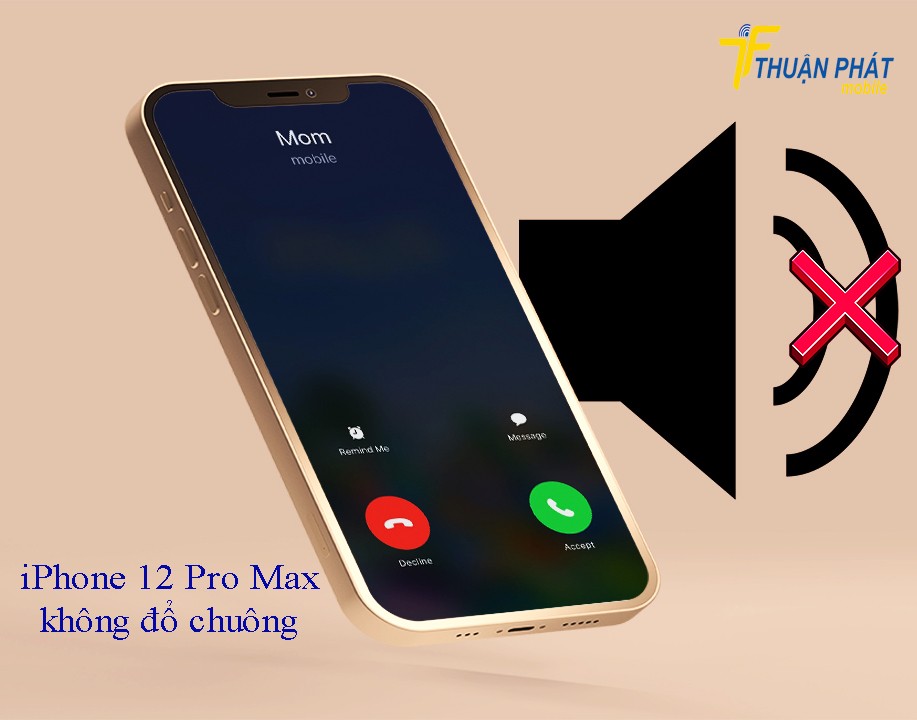 iPhone 12 Pro Max không đổ chuông