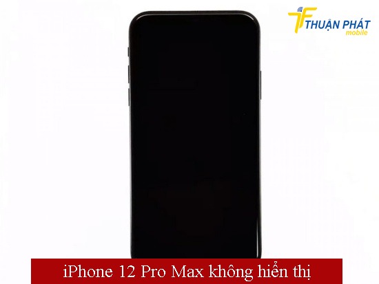 iPhone 12 Pro Max không hiển thị