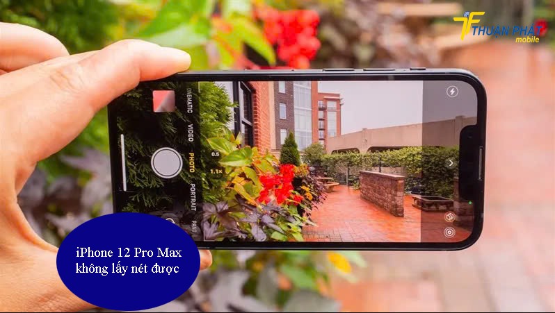 iPhone 12 Pro Max không lấy nét được iPhone 12 Pro Max không lấy nét được