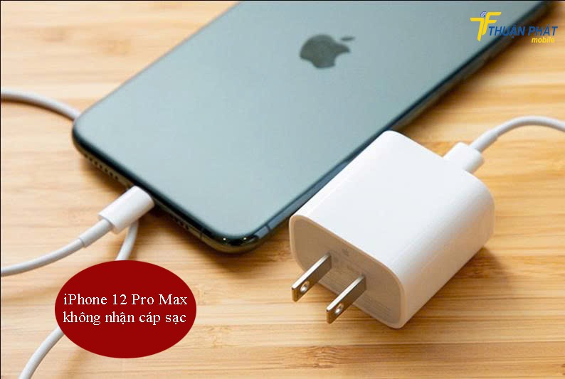 iPhone 12 Pro Max không nhận cáp sạc