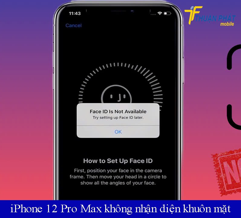 iPhone 12 Pro Max không nhận diện được khuôn mặt iPhone 12 Pro Max không nhận diện được khuôn mặt