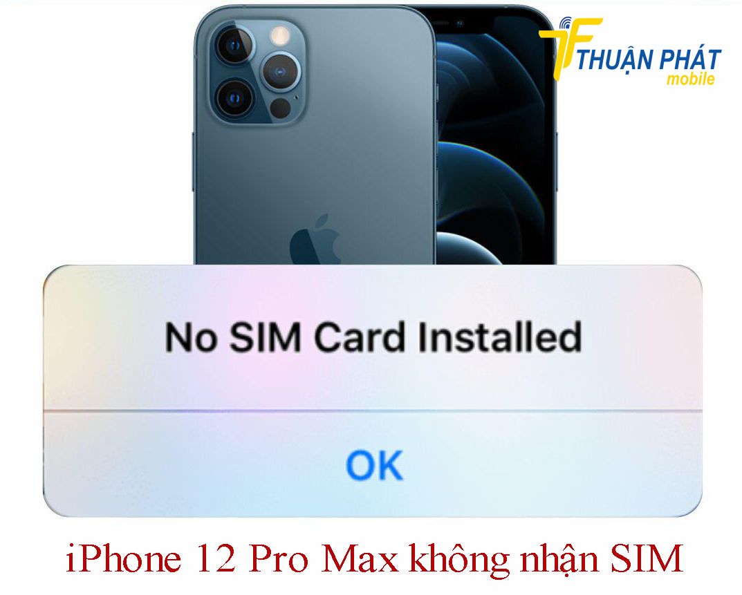 iPhone 12 Pro Max không nhận sim iPhone 12 Pro Max không nhận sim