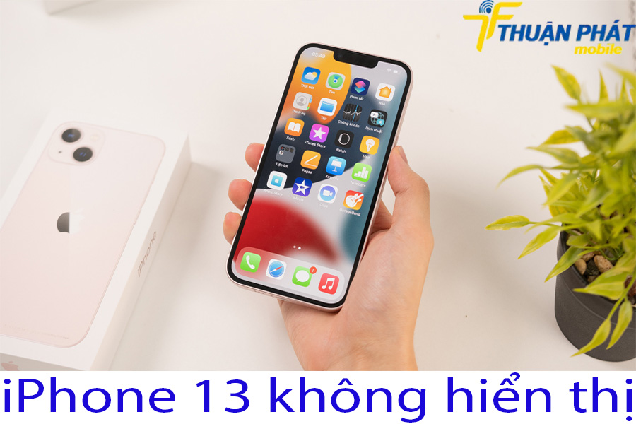 iPhone 13 không hiển thị iPhone 13 không hiển thị